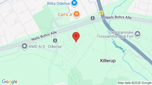 Apartments for rent i Odense M - kort over placeringen