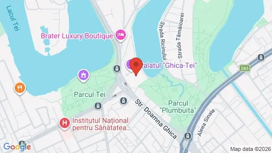 Apartments for rent i Bucharest - Sectorul 2 - kort over placeringen