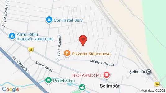 Apartments for rent i Şelimbăr - kort over placeringen
