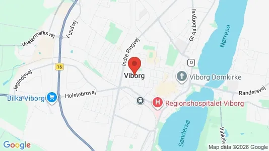 Houses for rent i Viborg - kort over placeringen