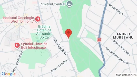 Apartments for rent i Cluj-Napoca - kort over placeringen