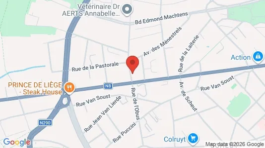 Apartments for rent i Brussels Anderlecht - kort over placeringen