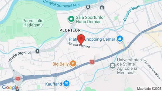 Apartments for rent i Cluj-Napoca - kort over placeringen