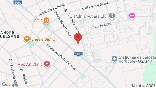 Apartments for rent i Cluj-Napoca - kort over placeringen