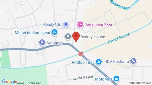 Apartments for rent i Cluj-Napoca - kort over placeringen