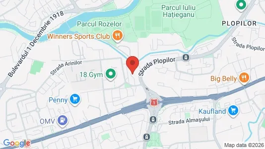 Apartments for rent i Cluj-Napoca - kort over placeringen