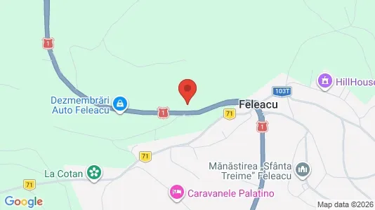 Apartments for rent i Feleacu - kort over placeringen