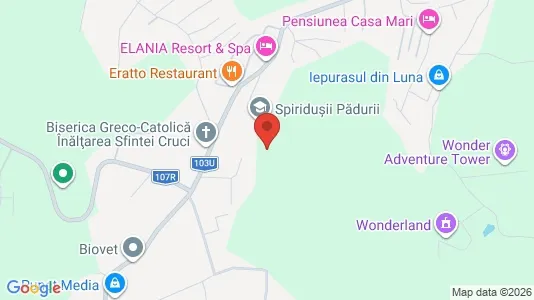 Apartments for rent i Cluj-Napoca - kort over placeringen