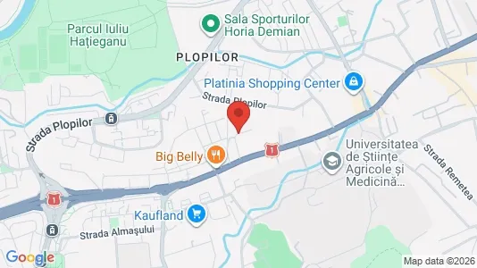 Apartments for rent i Cluj-Napoca - kort over placeringen