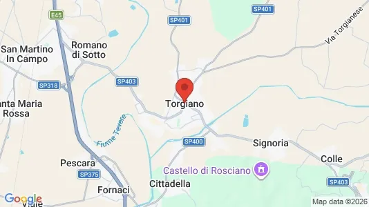 Houses for rent i Torgiano - kort over placeringen