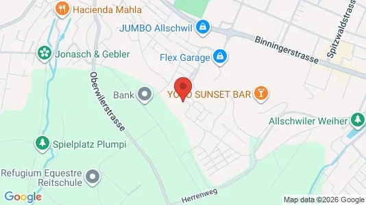Apartments for rent i Arlesheim - kort over placeringen