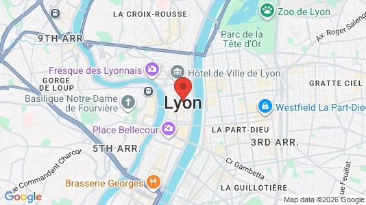 Apartments for rent i Lyon - kort over placeringen
