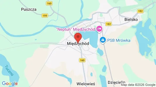 Houses for rent i Międzychodzki - kort over placeringen