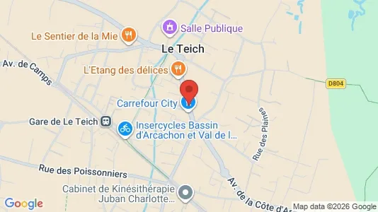 Apartments for rent i Arcachon - kort over placeringen