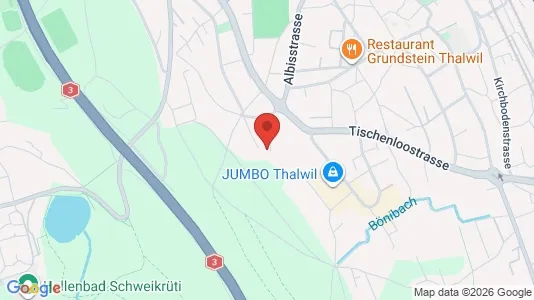 Apartments for rent i Horgen - kort over placeringen