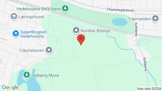 Apartments for rent i Hedehusene - kort over placeringen