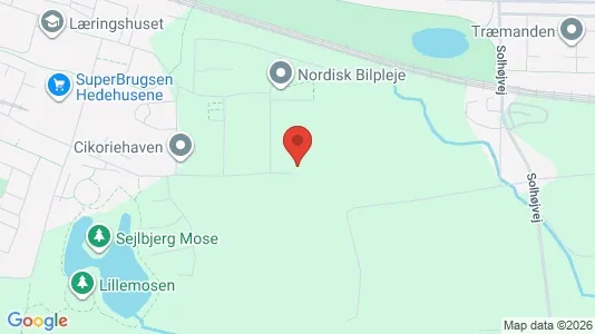 Apartments for rent i Hedehusene - kort over placeringen