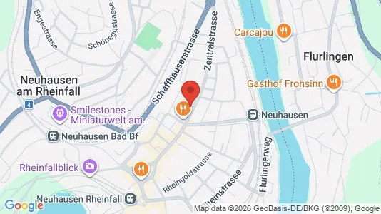 Apartments for rent i Schaffhausen - kort over placeringen
