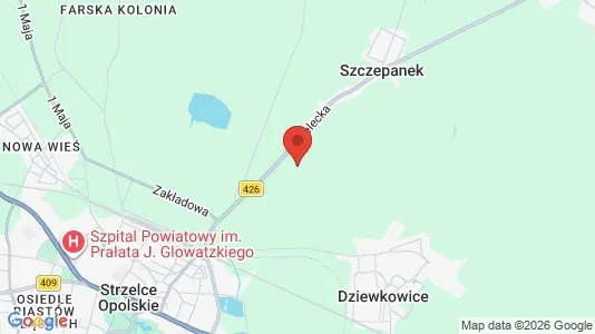 Houses for rent i Strzelecki - kort over placeringen