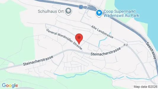 Apartments for rent i Horgen - kort over placeringen