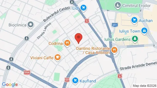 Apartments for rent i Timişoara - kort over placeringen