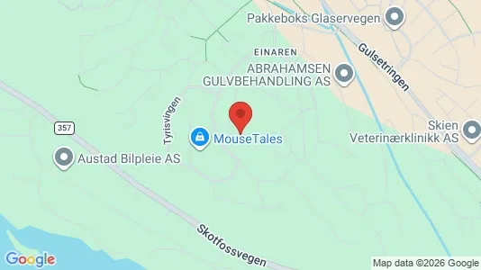Apartments for rent i Skien - kort over placeringen