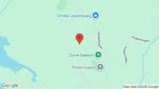 Rooms for rent i Skien - kort over placeringen