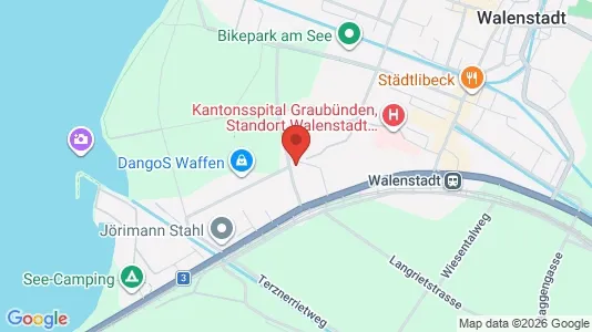 Apartments for rent i Sarganserland - kort over placeringen