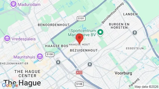 Apartments for rent in The Hague Haagse Hout - Photo from Google Street View