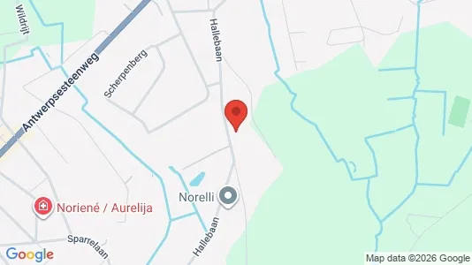 Apartments for rent in Malle - Photo from Google Street View