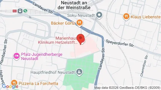 Apartments for rent i Neustadt an der Weinstraße - kort over placeringen