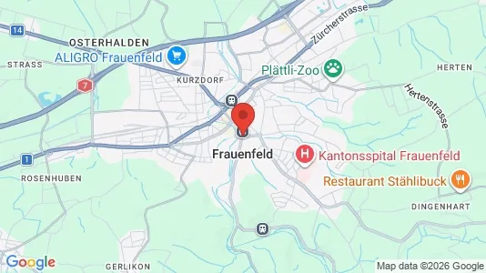 Apartments for rent i Frauenfeld - kort over placeringen