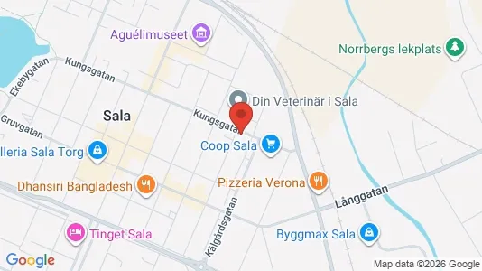 Apartments for rent in Sala - Photo from Google Street View