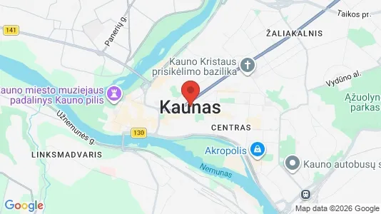 Apartments for rent in Kaunas - Photo from Google Street View