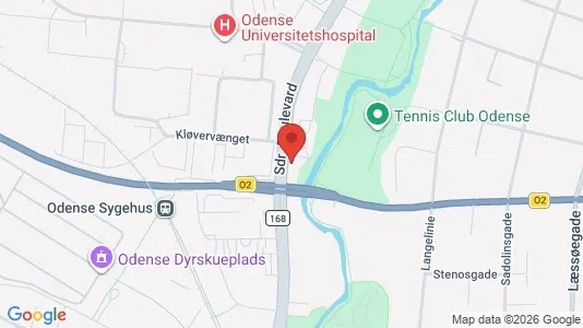 Apartments for rent i Odense C - kort over placeringen