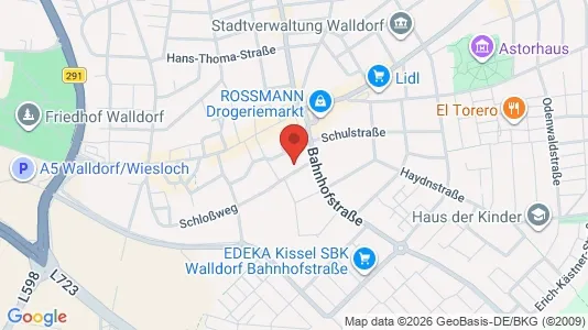 Apartments for rent i Rhein-Neckar-Kreis - kort over placeringen