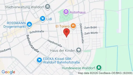 Apartments for rent i Rhein-Neckar-Kreis - kort over placeringen
