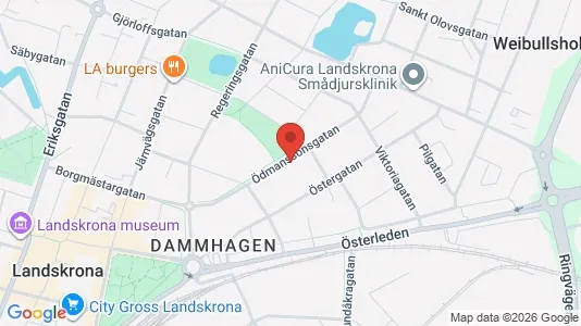 Apartments for rent in Landskrona - Photo from Google Street View