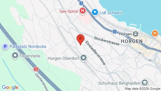 Apartments for rent in Horgen - Photo from Google Street View