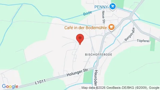 Apartments for rent i Eichsfeld - kort over placeringen