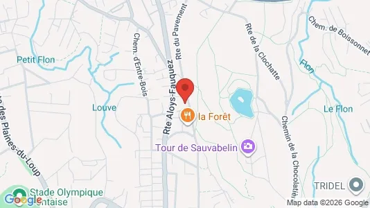 Apartments for rent in Lausanne - Photo from Google Street View