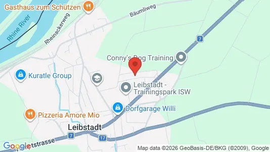 Apartments for rent in Zurzach - Photo from Google Street View
