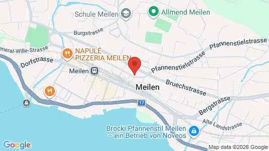 Apartments for rent i Meilen - kort over placeringen