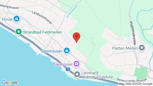 Apartments for rent i Meilen - kort over placeringen