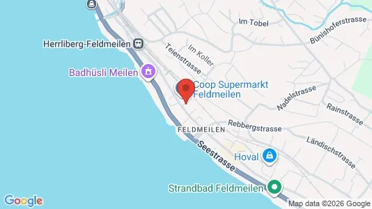 Apartments for rent i Meilen - kort over placeringen