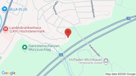 Apartments for rent i Langenwang - kort over placeringen