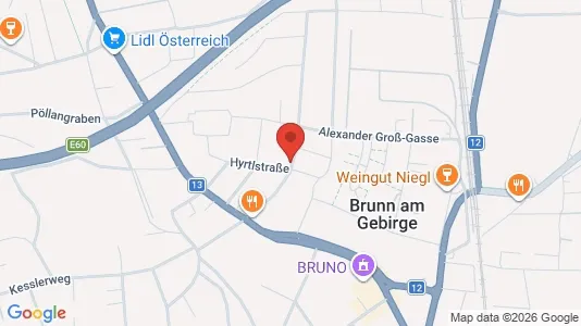 Apartments for rent i Brunn am Gebirge - kort over placeringen