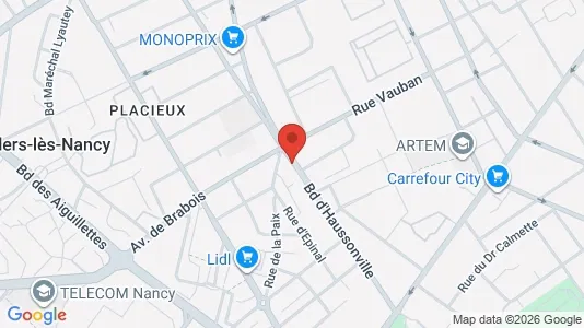 Apartments for rent i Nancy - kort over placeringen