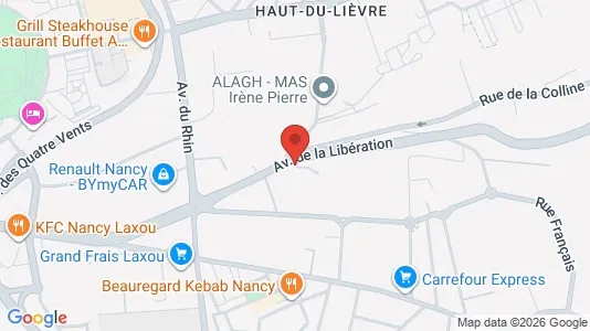 Apartments for rent i Nancy - kort over placeringen