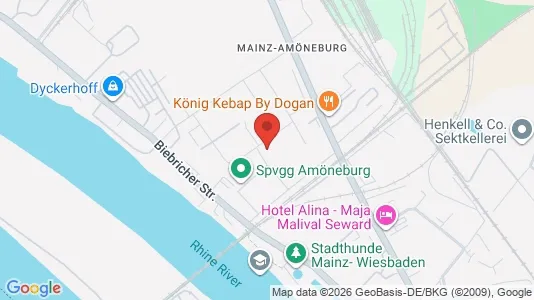 Apartments for rent i Wiesbaden - kort over placeringen